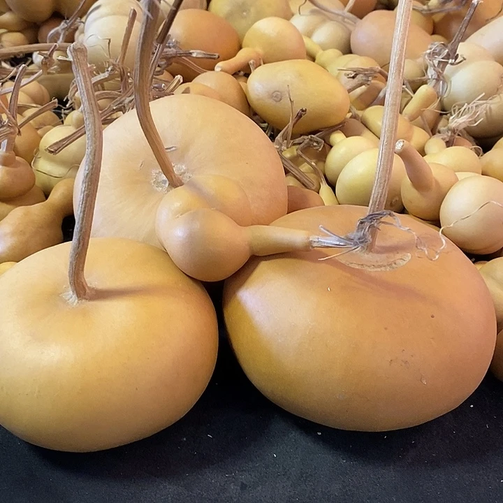 @**郭葫芦粉的味道真的很不错