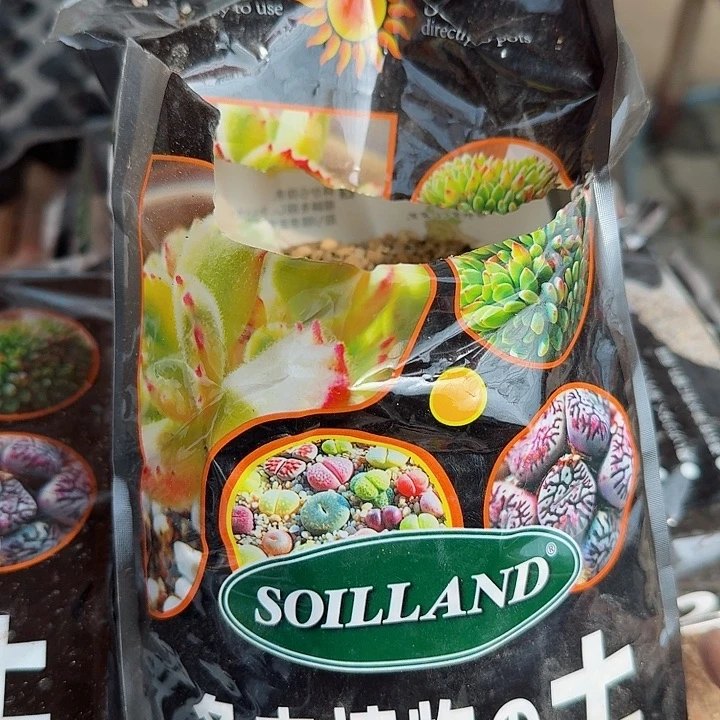 一包土多肉植物精品