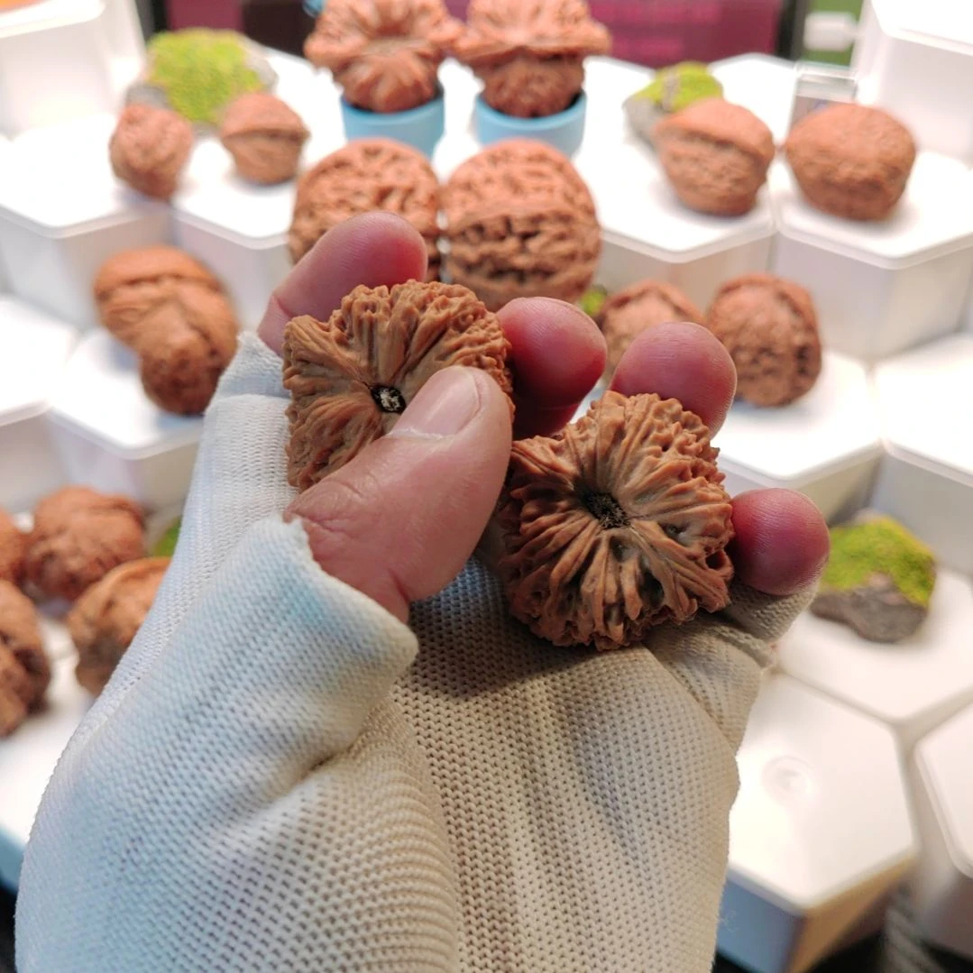 言***随文玩核桃把件全品橘皮涿鹿南疆