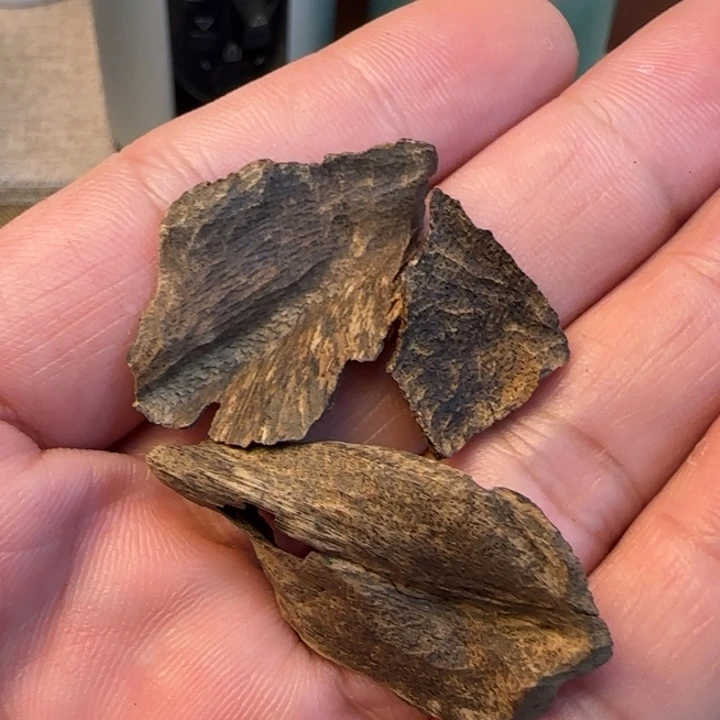 沉香摆件霸王岭沉水包头1.8克