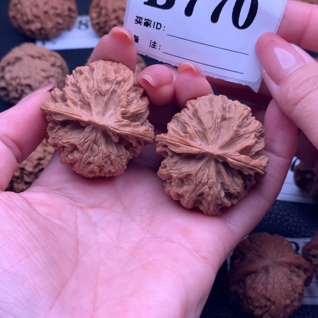 核桃苹果园770链接40尺