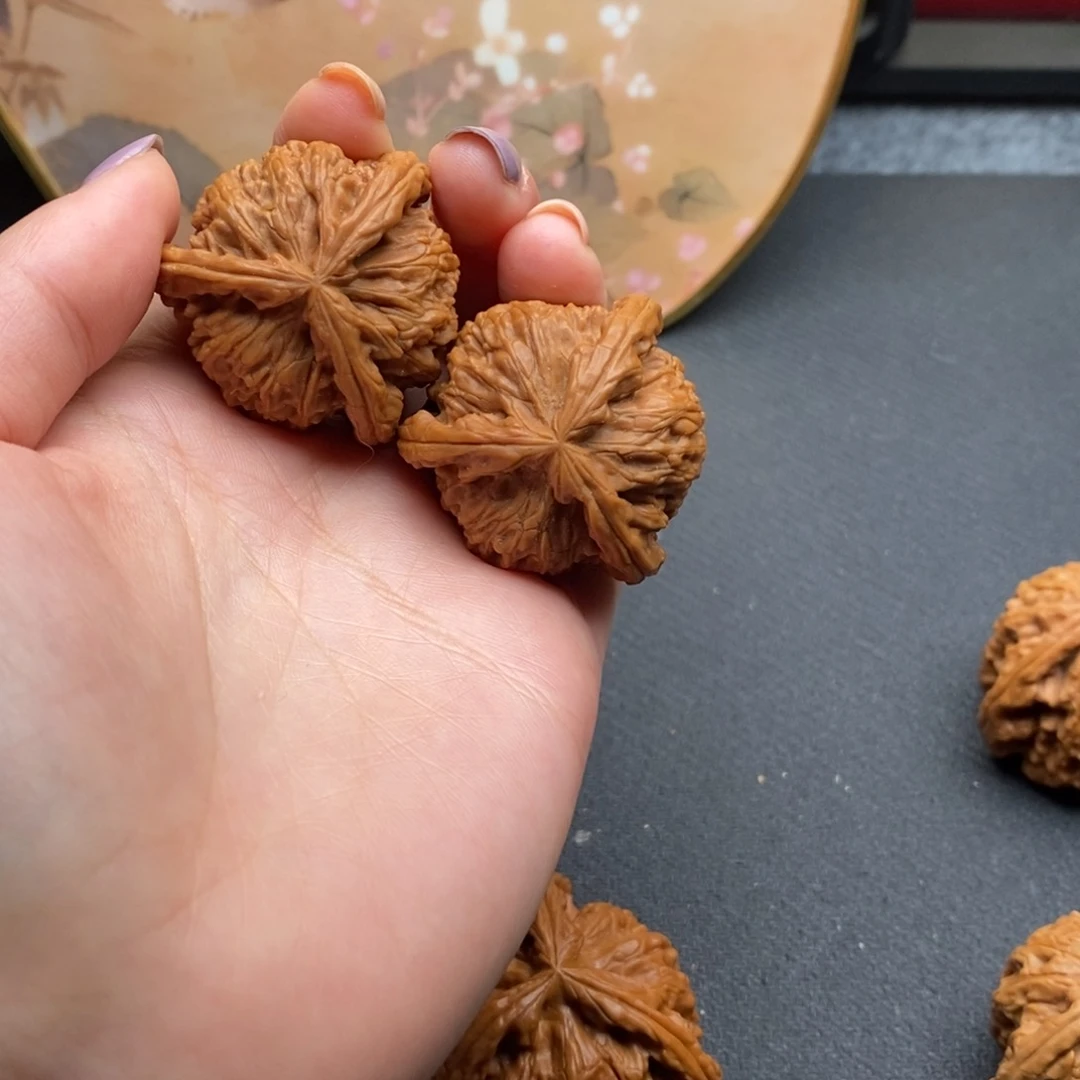 中****北白狮子1111111111