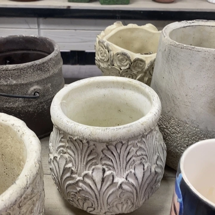 花盆5588888000000000000000