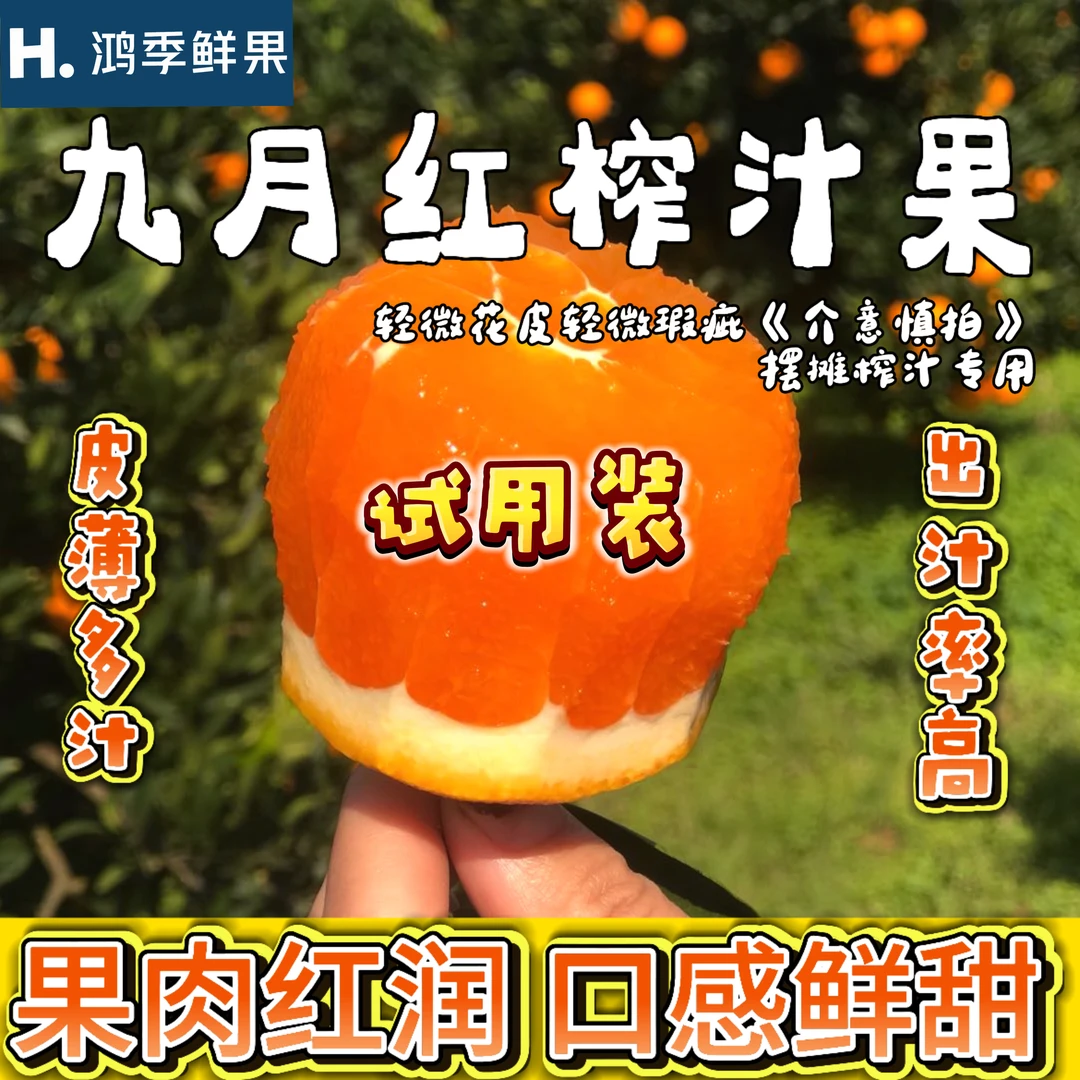 湖北秭归九月红果冻橙摆摊榨汁专用出汁率高橙子皮薄多汁十斤