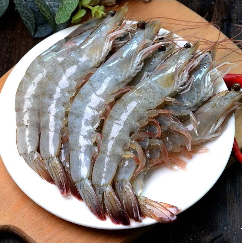 【年货好物】新鲜速冻海洋大虾2030规格 16-18cm 到手3斤35-40只