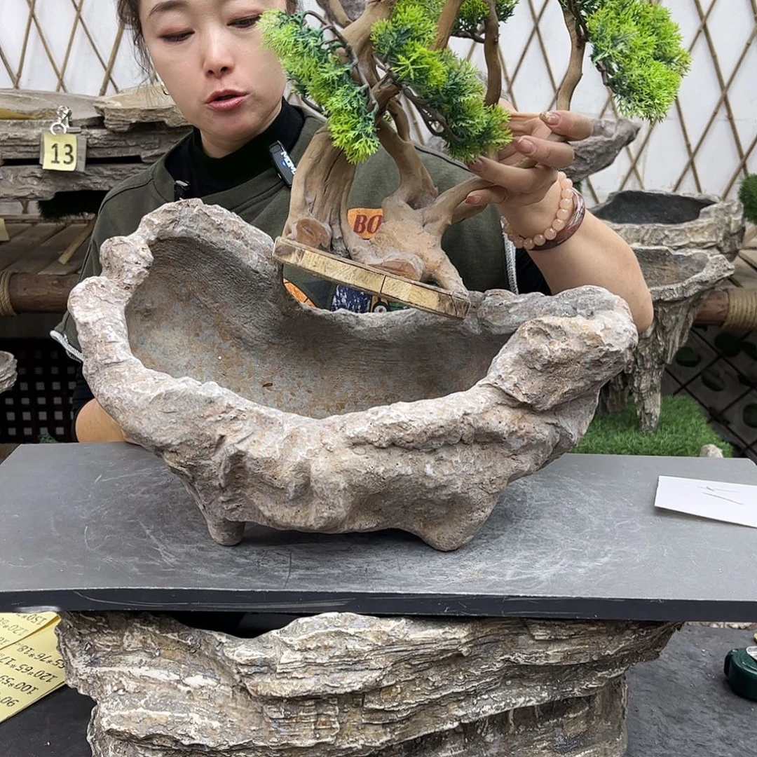 盆景异形花盆鱼缸p2-004
