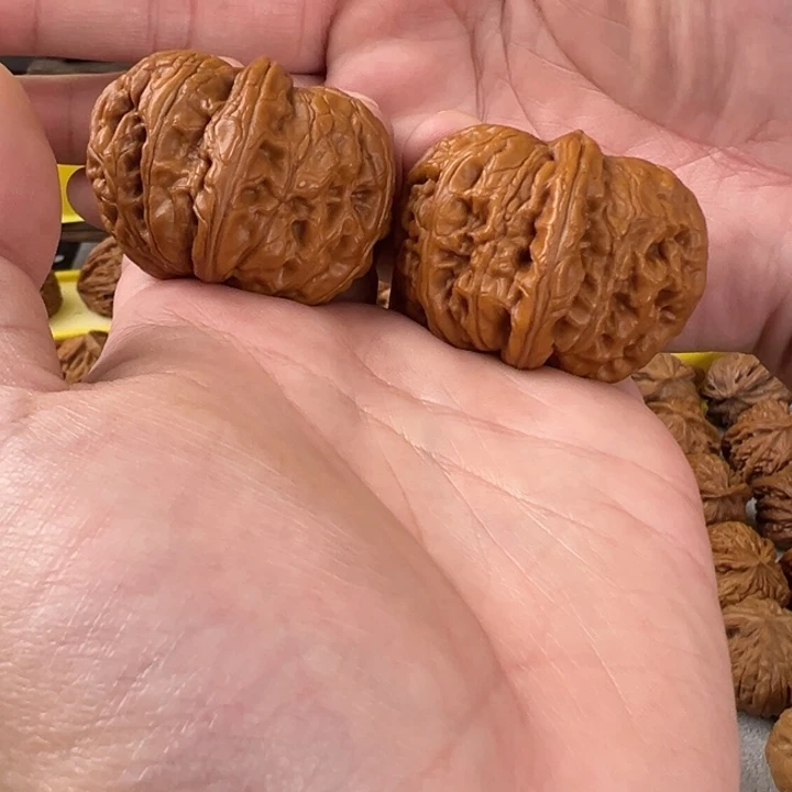 吊坠文玩核桃45尺全品无修平谷元宝 克重51