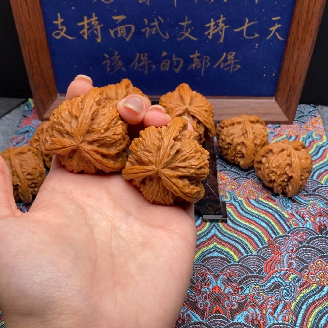 【闪购商品】小***休白狮