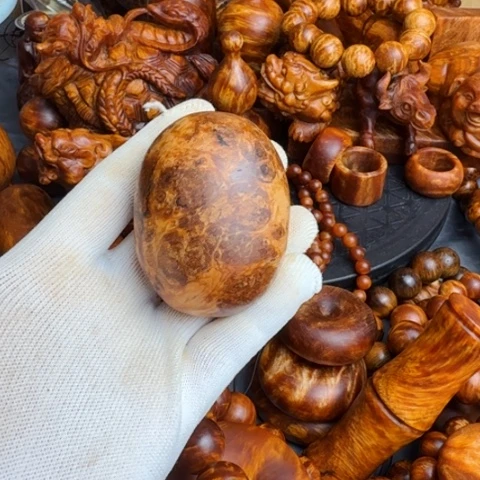 松木（琥珀木）其他