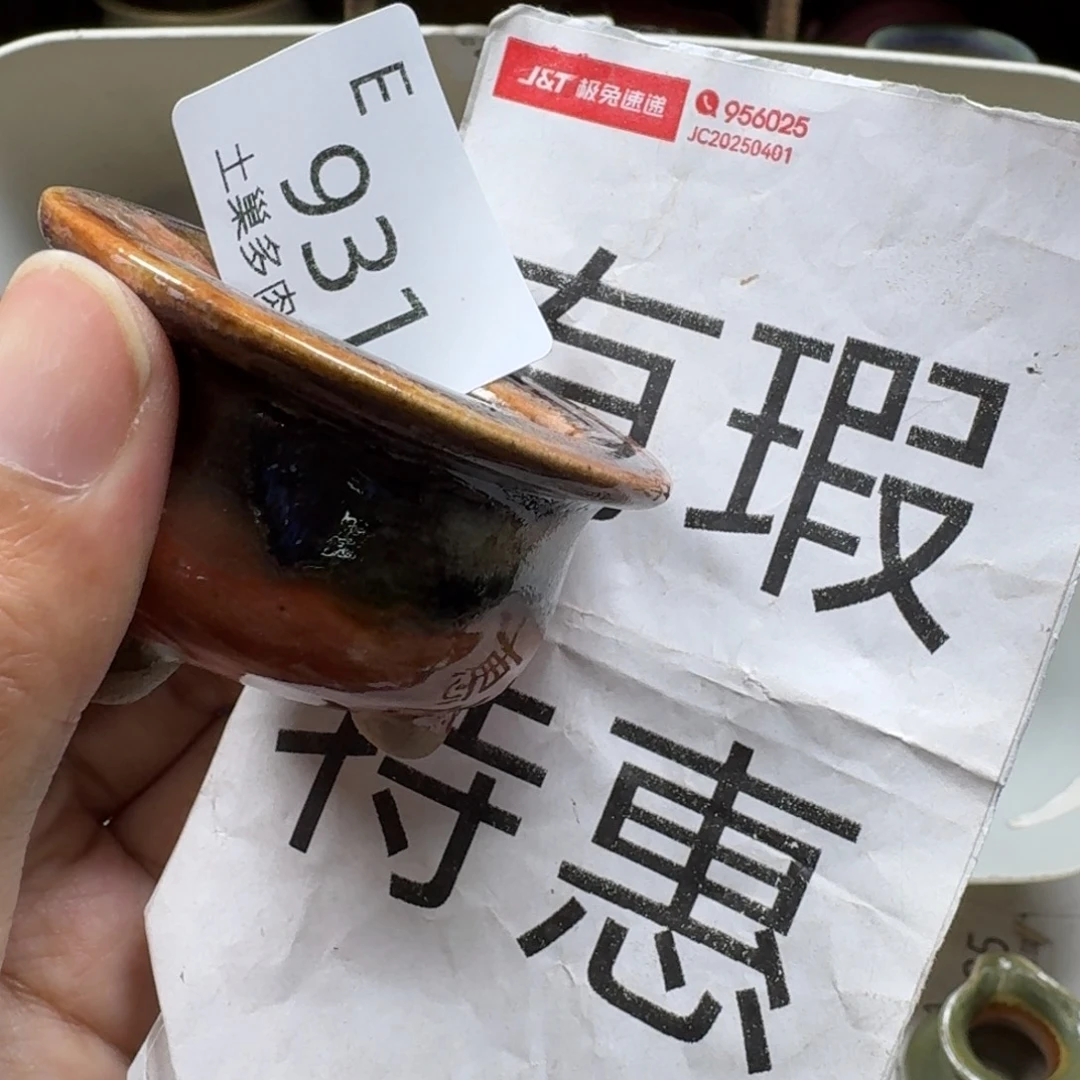 二***猪陶瓷艺术设计学与制作