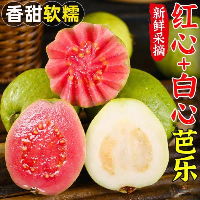 只卖大果【整箱5斤！】广西软糯软心奶油红心芭乐水果2斤白心番石榴