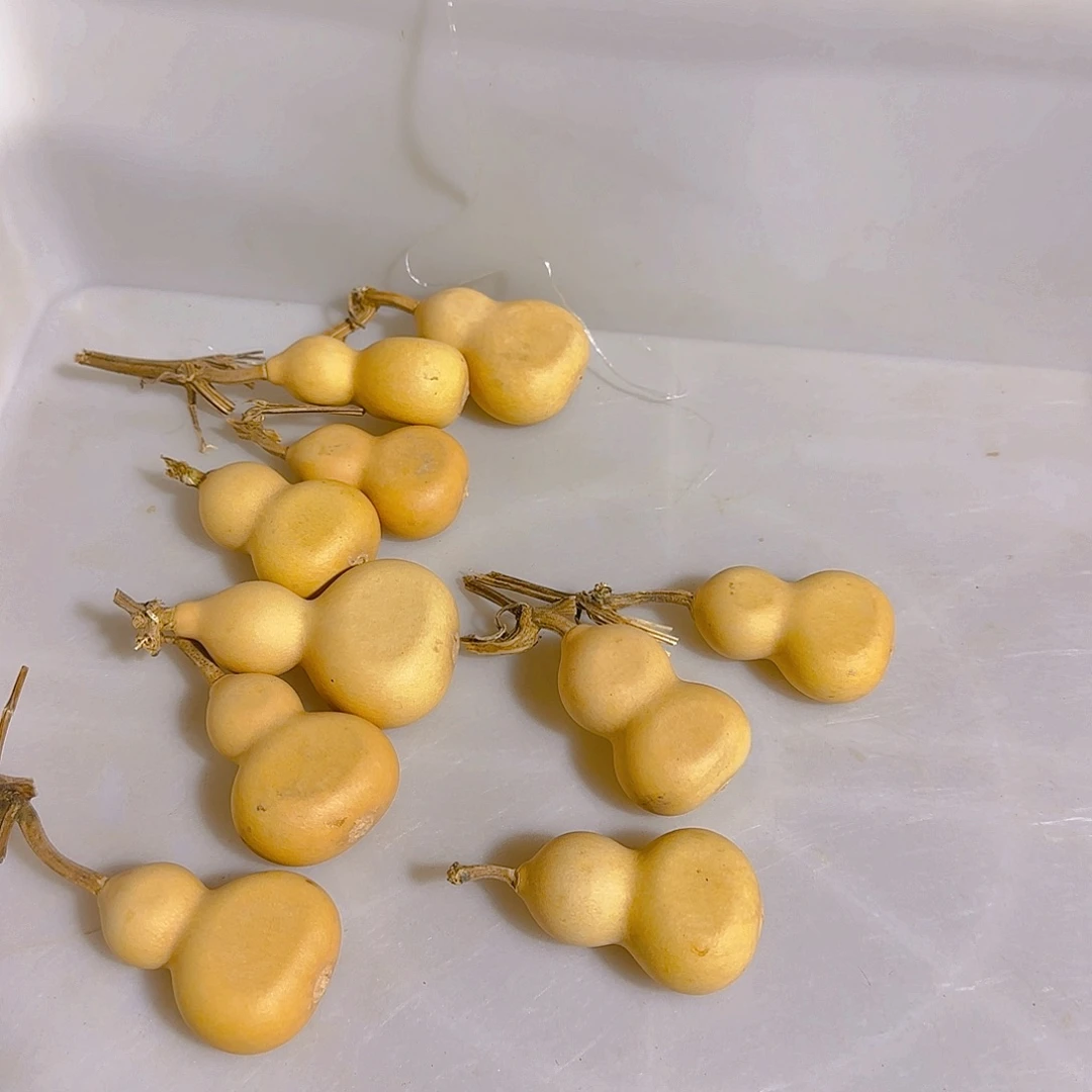 W***s葫芦处理葫芦葫芦葫芦10个