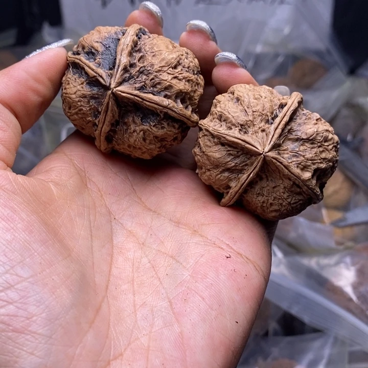 核桃云南野生铁核桃61号43mm