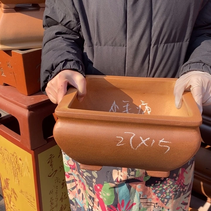 紫砂花盆只顾看电视