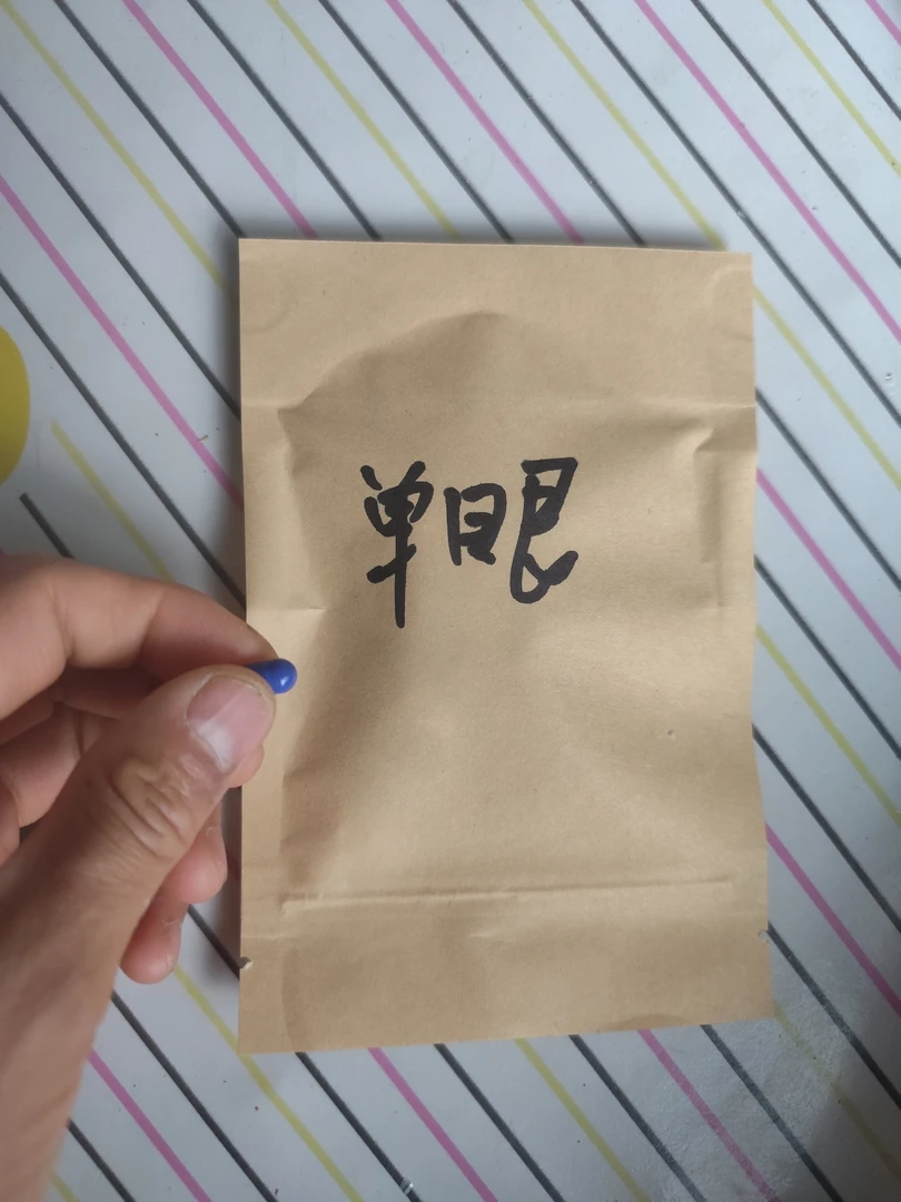 观赏 鸽子的单眼