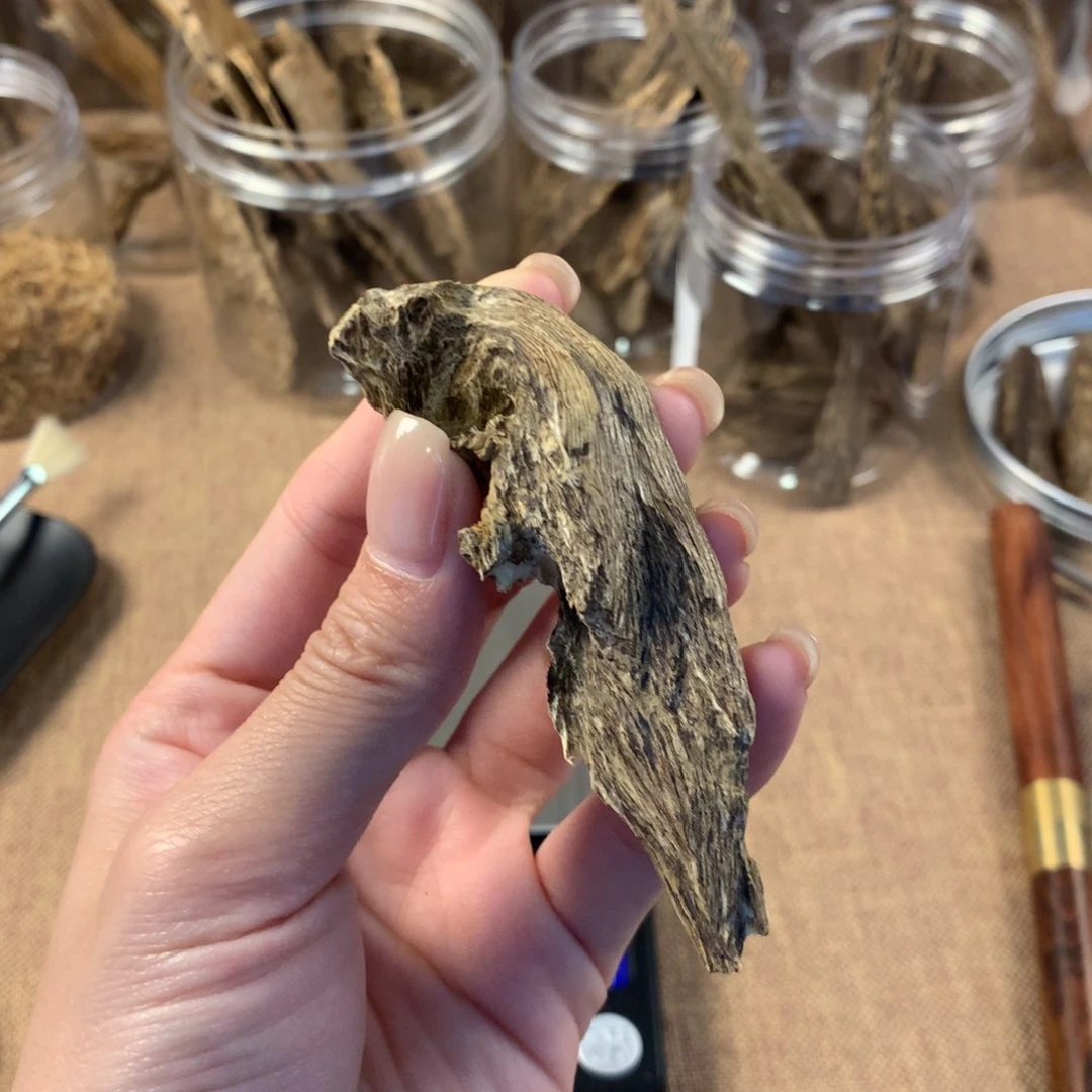 海南树根5.53克多样性发一