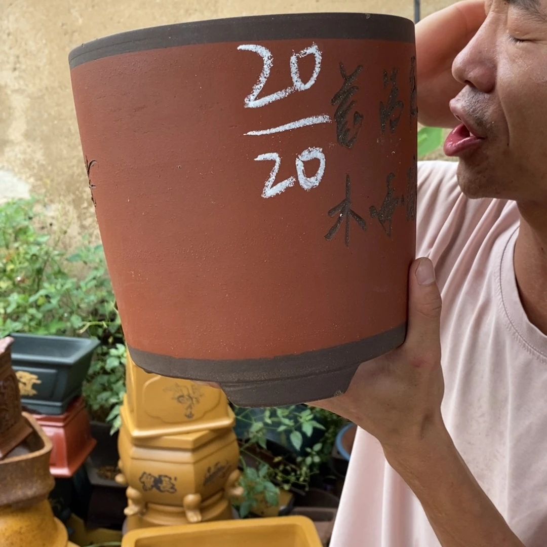 紫砂紫砂紫砂紫砂
