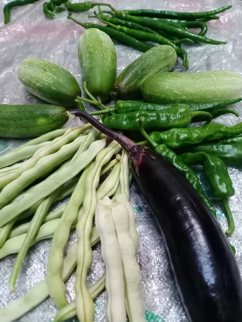 农家 农家肥 露天 老品种 蔬菜 当天摘当天发 不泡药不上保鲜剂