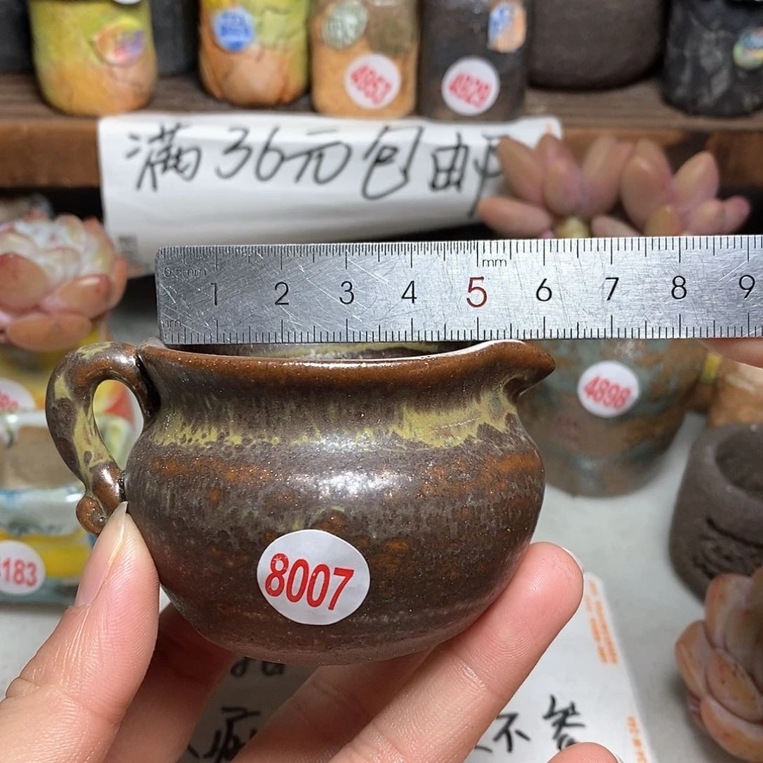红陶拍5送一个小