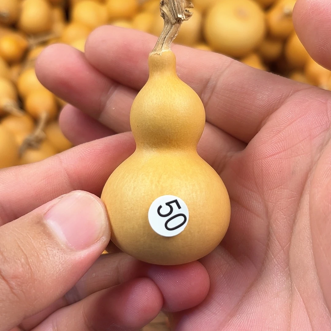 二葫芦葫芦葫芦葫芦50