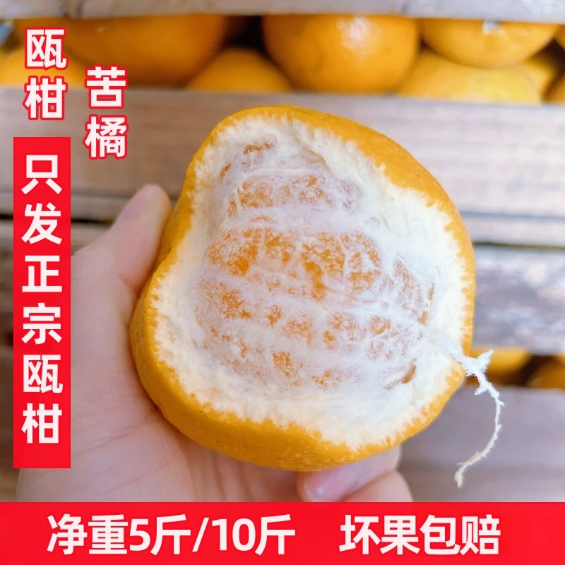 特大瓯柑正宗苦橘丽水温州特产清火苦柑丑桔新鲜水果甜苦孕妇整箱
