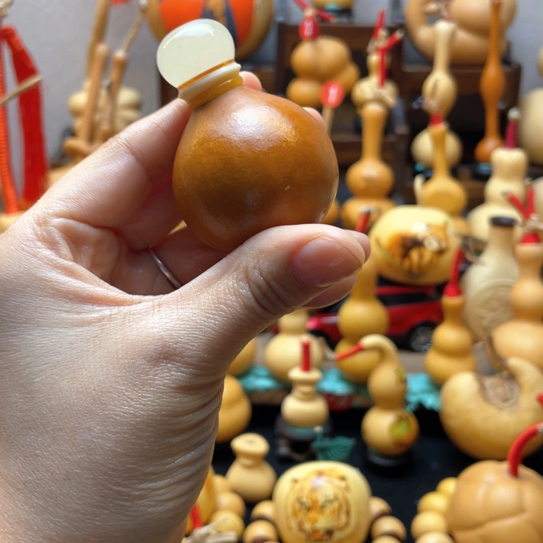 古*大自然的秘密第十一节你要