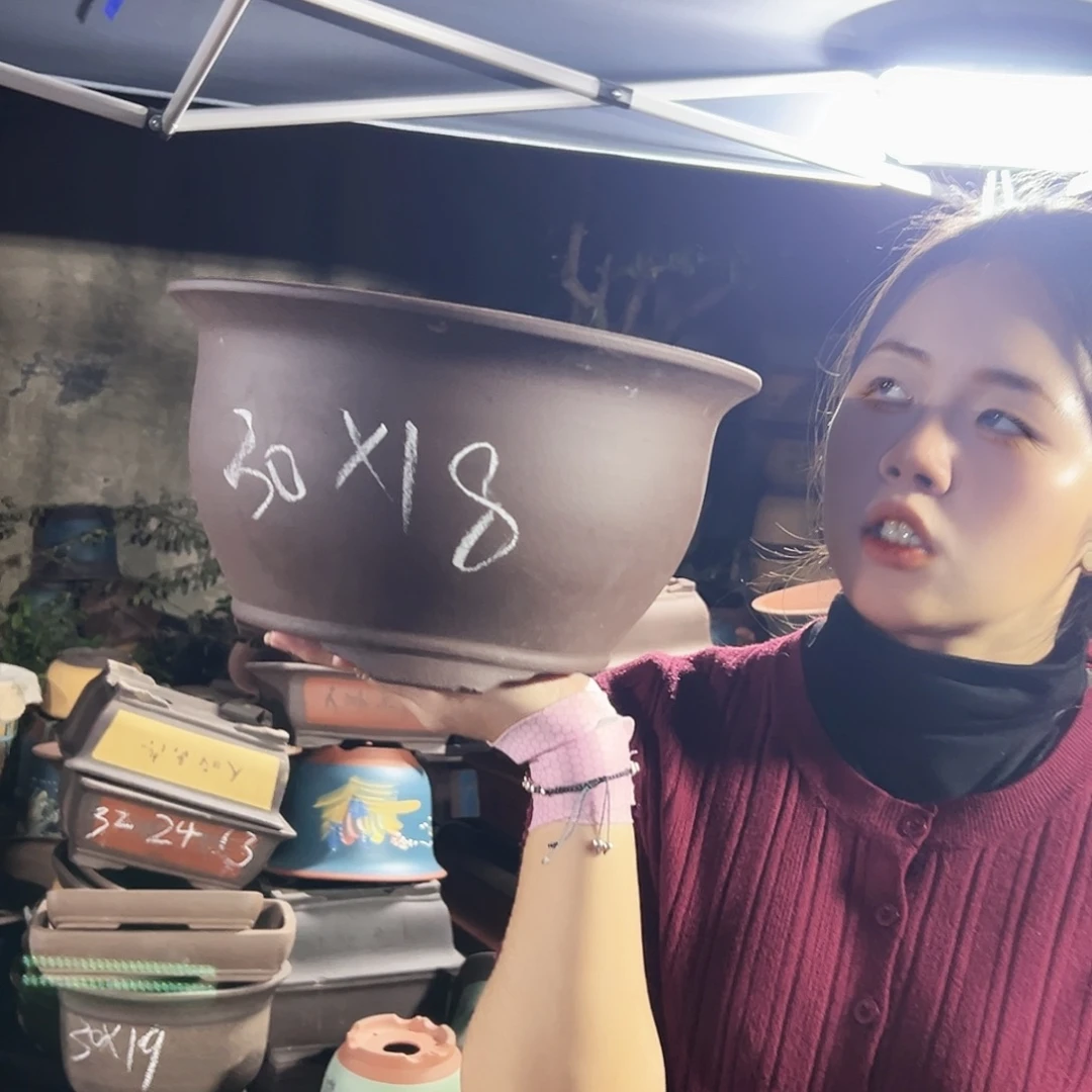 30素面三角金钟花盆花盆