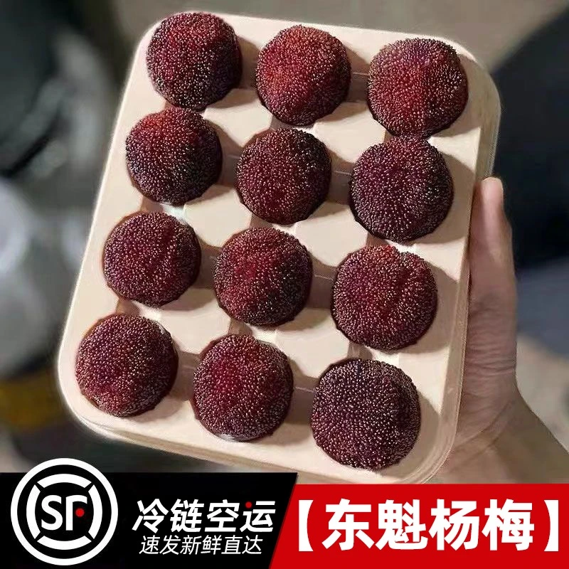 【6A级】正宗仙居东魁杨梅孕妇时令新鲜水果核小肉多现摘现发送礼