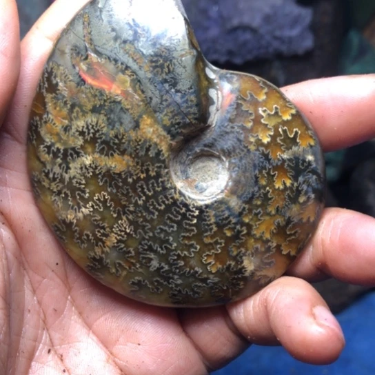 玛瑙/玉髓无未镶嵌