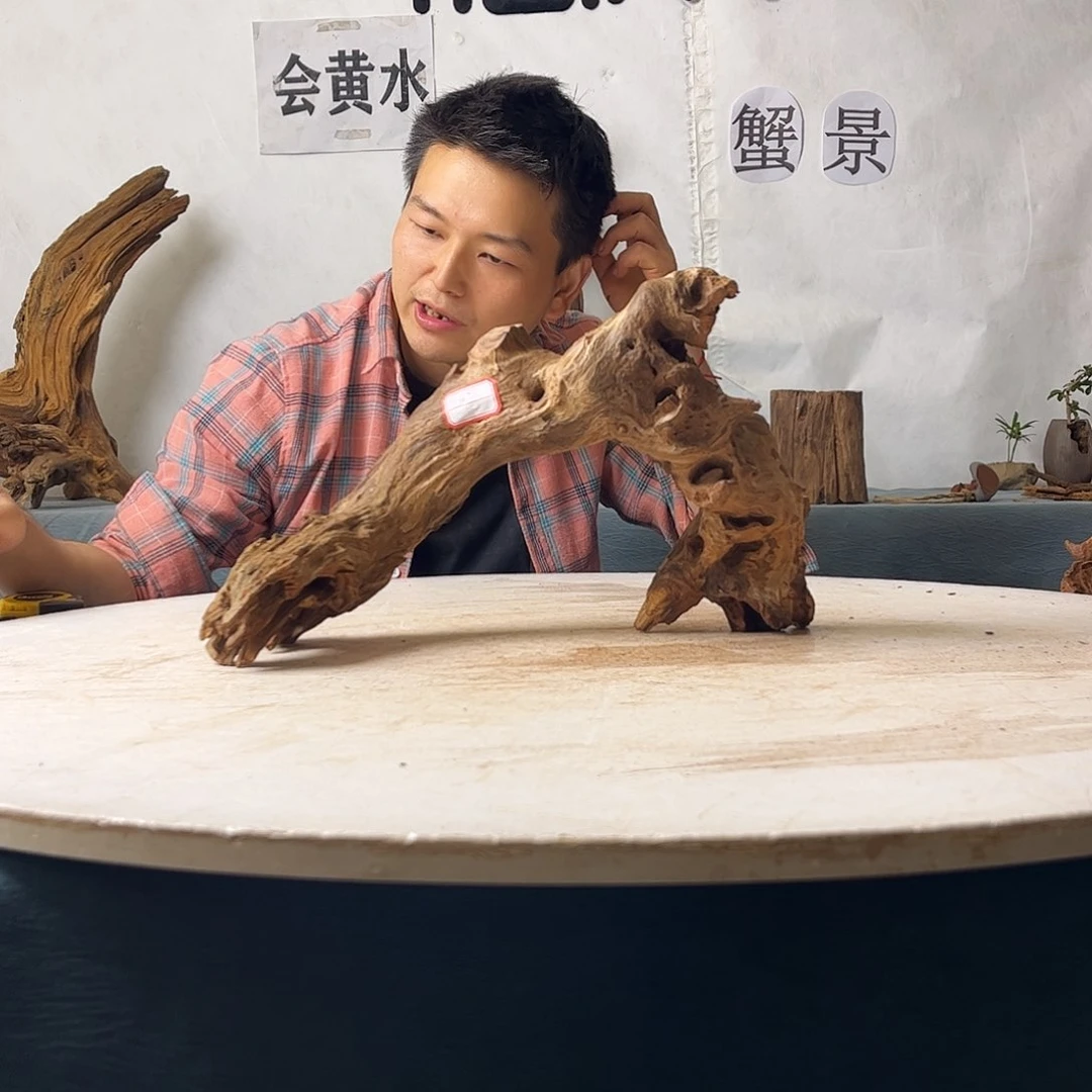 沉木造景寄居蟹景