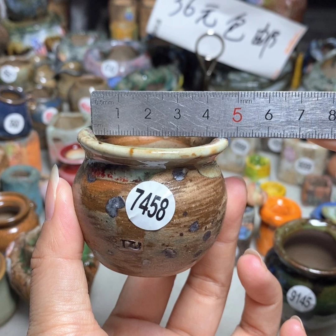 拍5送一个小礼物