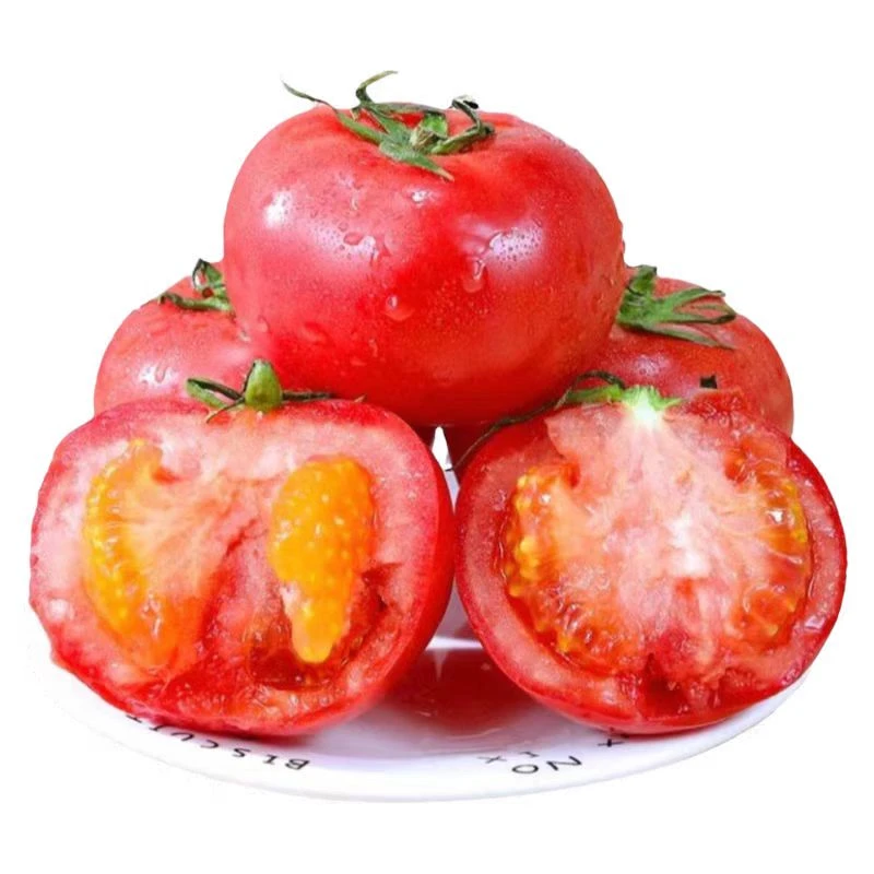 水果西红柿500g±20g