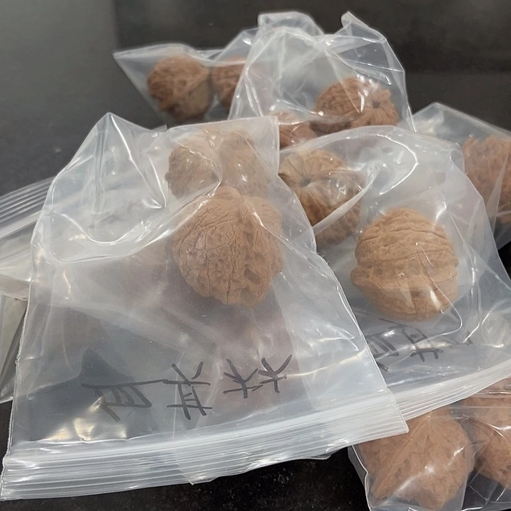吊坠文玩核桃血麒麟瑕疵