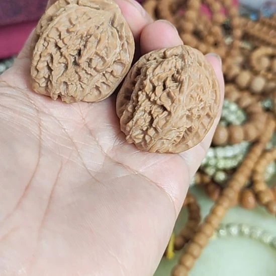 把件文玩核桃白狮子异形新人练手对