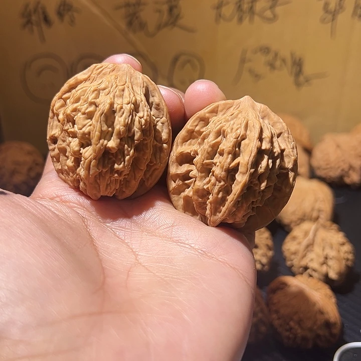 核桃全品无修虎头41