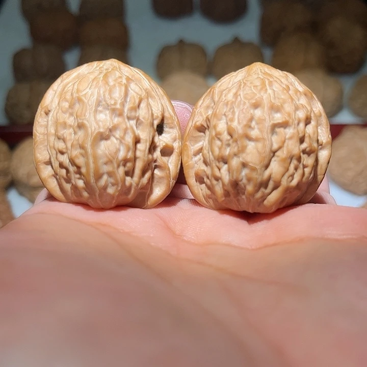 木36全品全家福铁锤。