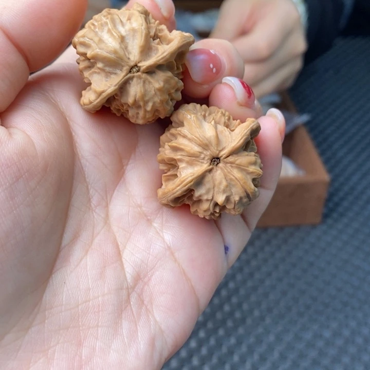 W****核桃红樱枪到货客服