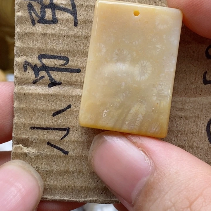 颈饰未镶嵌硅化珊瑚（珊瑚玉）小****?