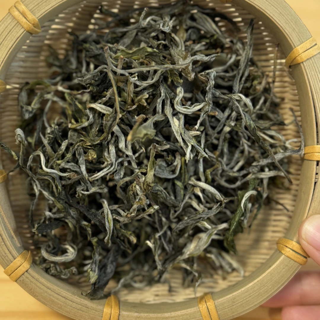 2025年凤凰窝·稀有古树生茶