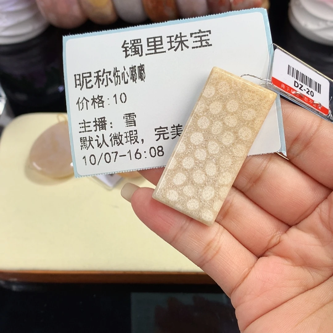 伤***嘟硅化珊瑚（珊瑚玉）未镶嵌吊坠(赠链)