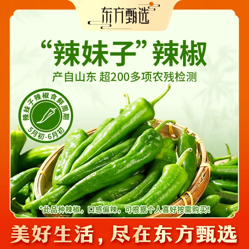 【3/5斤】东方甄选自营“辣妹子”辣椒脆嫩新鲜应季蔬菜坏蔬包赔
