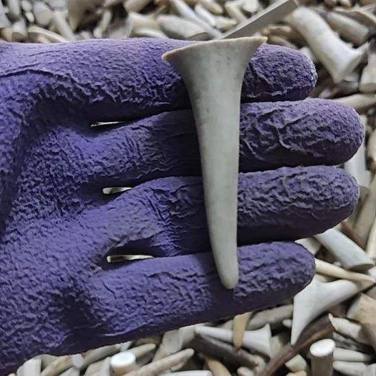 纯铜石英石原皮原色鹿角尖