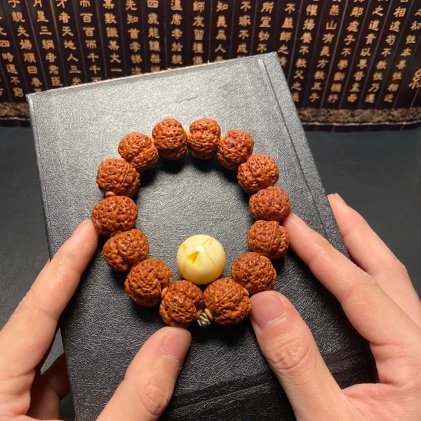 精品满肉梅花菩提（3号）