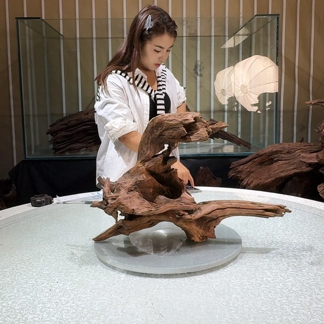 大***峰一物一拍鱼缸造景