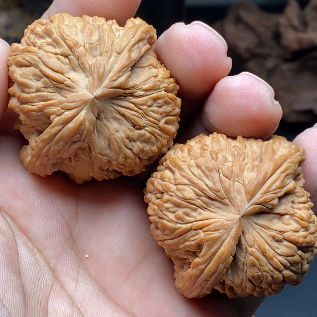 核桃44全品无修南疆石