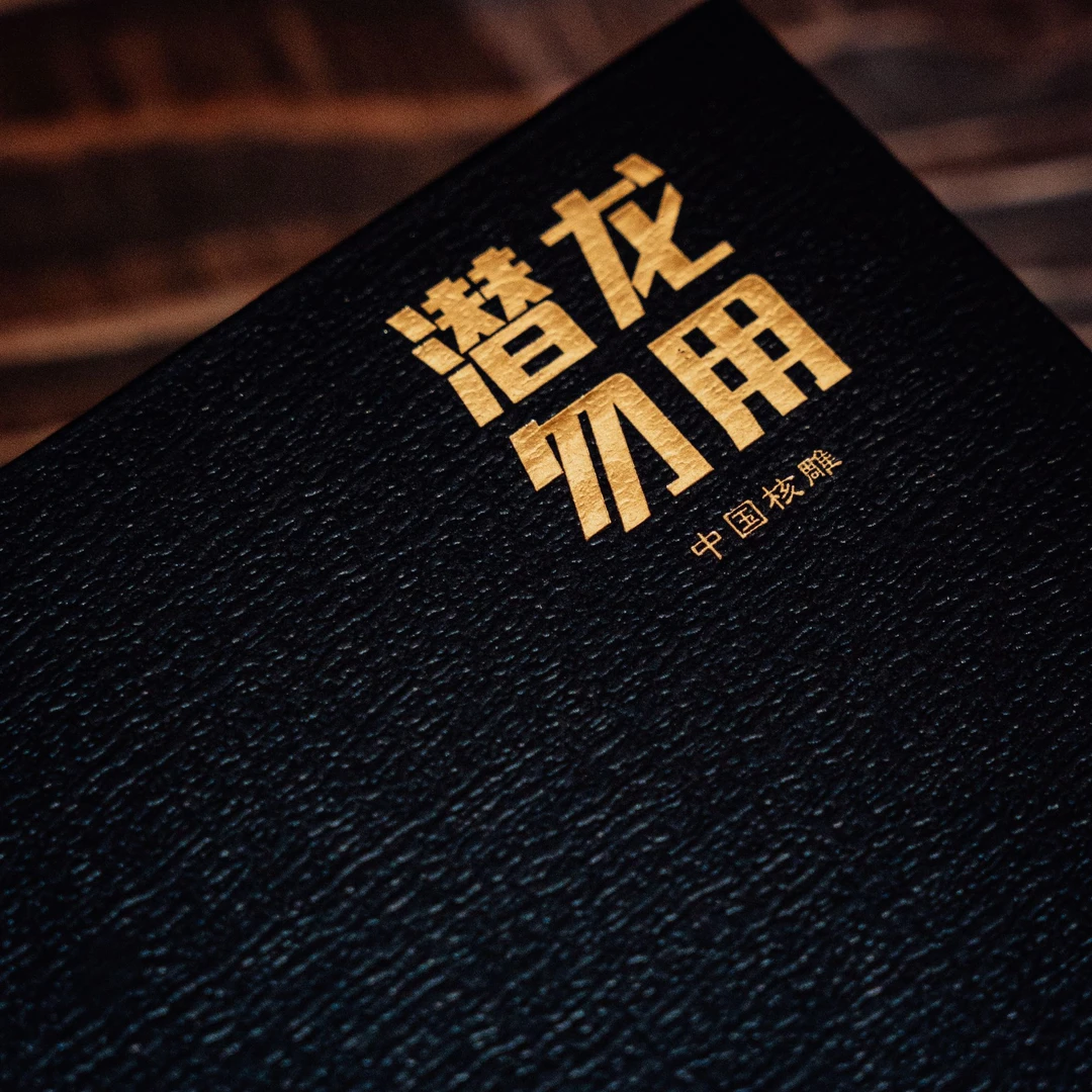 观渡-【财神】橄榄核小众文玩手串