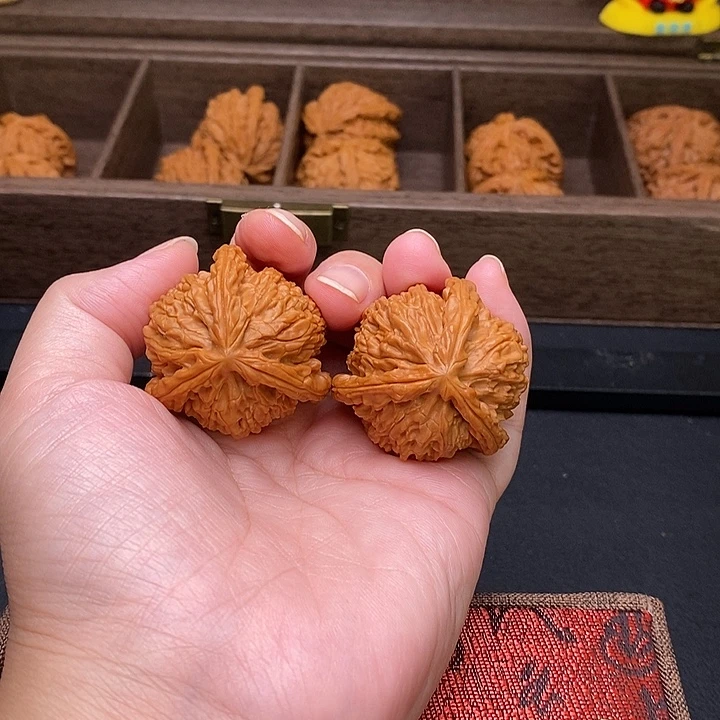 愤***裸把件文玩核桃白奔