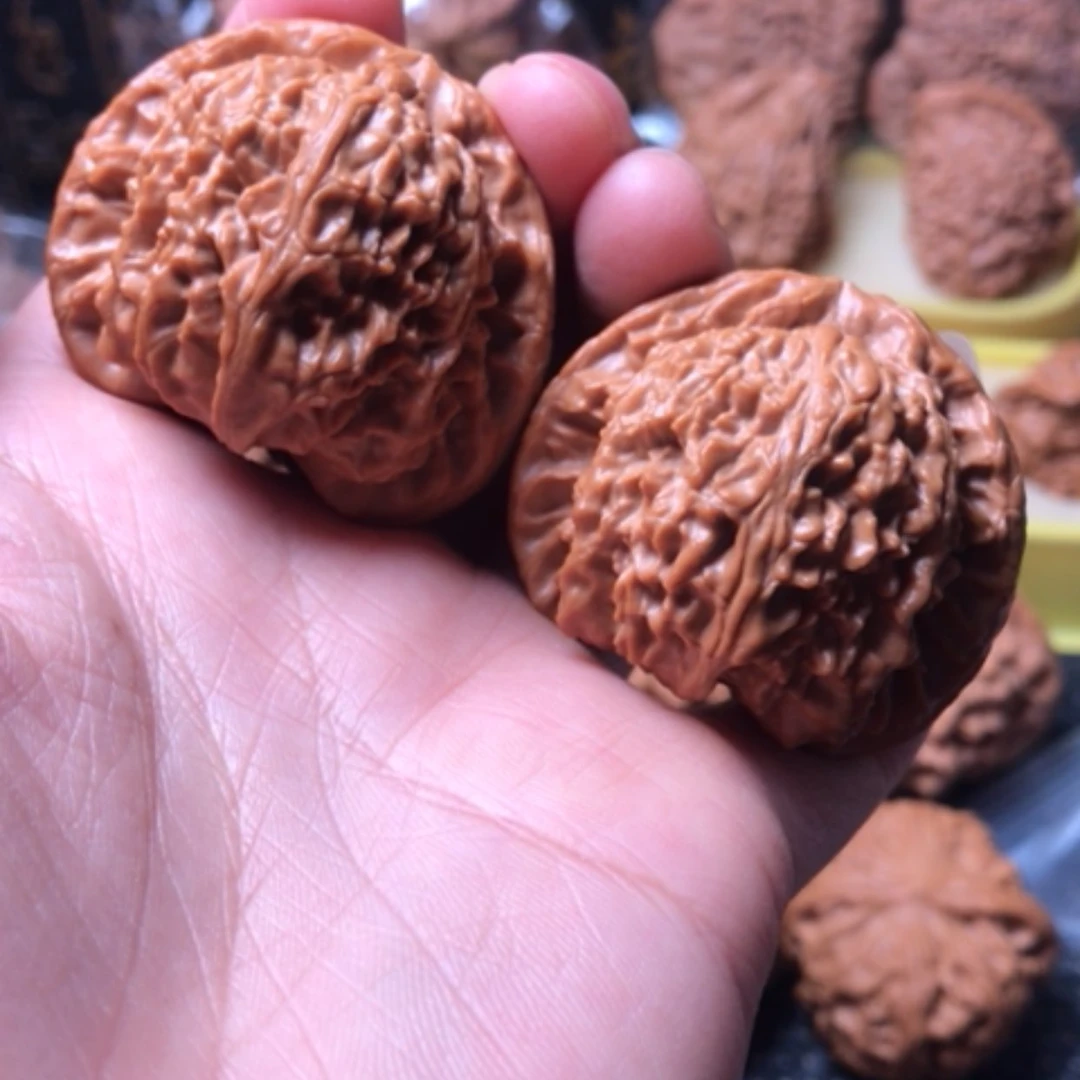 【闪购商品】白狮子尺寸43