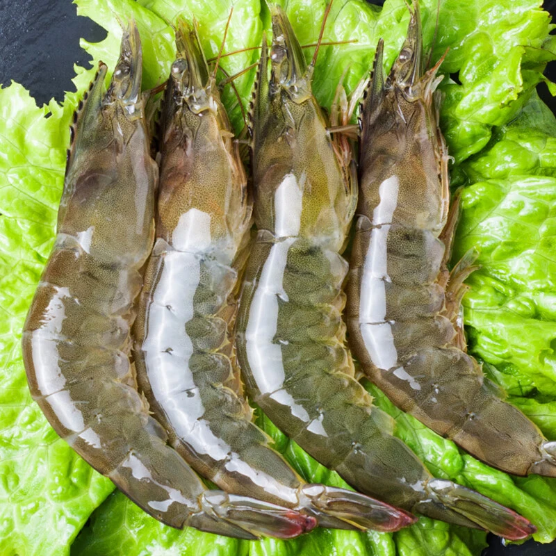 渔民海洋大虾海水虾大号海虾14-18只速冻锁鲜新鲜味美整箱5斤