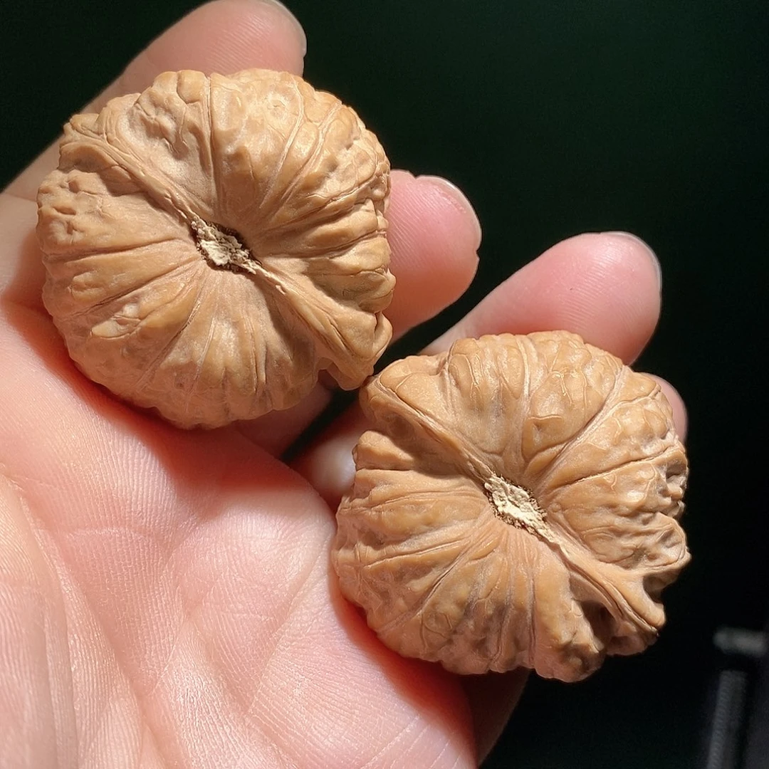 把件文玩核桃43南瓜墩全品